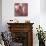 Bonica Rosa-Assaf Frank-Giclee Print displayed on a wall