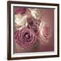 Bonica Rosa-Assaf Frank-Framed Giclee Print