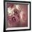 Bonica Rosa-Assaf Frank-Framed Giclee Print