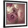 Bonica Rosa-Assaf Frank-Framed Giclee Print