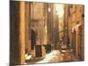 Bonifacio, Corsica, Italy-Peter Adams-Mounted Photographic Print