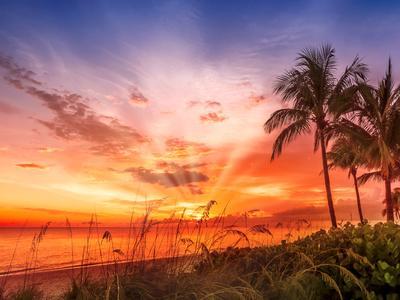 https://imgc.allpostersimages.com/img/posters/bonita-beach-lovely-sunset_u-L-F9JR7X0.jpg?artPerspective=n