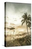 BONITA BEACH Vintage Sunset-Melanie Viola-Stretched Canvas