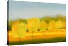 Stretched Canvas