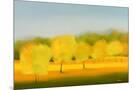 Wood Mount