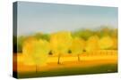 Stretched Canvas