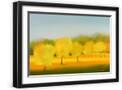 Black Frame