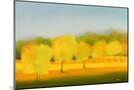 Wood Mount