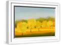 White Frame