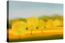 Stretched Canvas