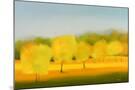 Wood Mount