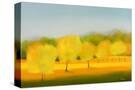 Stretched Canvas