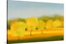 Stretched Canvas