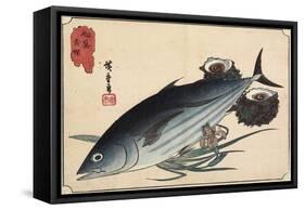 Bonito and Top Shells, Early 19th Century-Utagawa Hiroshige-Framed Stretched Canvas