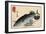 Bonito and Top Shells, Early 19th Century-Utagawa Hiroshige-Framed Giclee Print