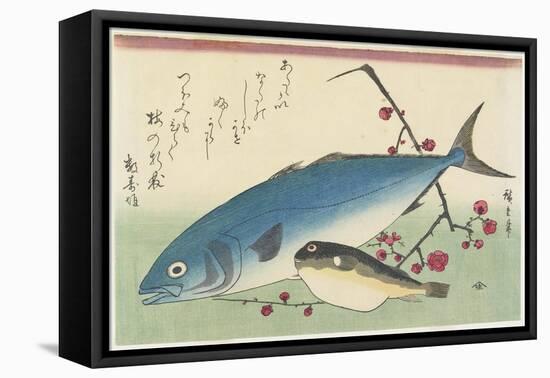 Bonito, Globefish and a Spray of Blossoming Plum, C. 1840-Utagawa Hiroshige-Framed Stretched Canvas