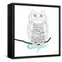 Bonjour Owl-Marion De Lauzun-Framed Stretched Canvas