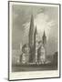 Bonn Cathedral-William Tombleson-Mounted Giclee Print