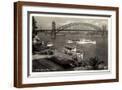 Brown Frame