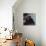 Bonnard: Lady, 19Th C-Pierre Bonnard-Stretched Canvas displayed on a wall