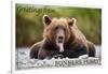 Bonners Ferry, Idaho - Grizzly Bear with Tongue Out-Lantern Press-Framed Art Print