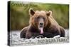 Bonners Ferry, Idaho - Grizzly Bear with Tongue Out-Lantern Press-Stretched Canvas