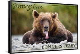 Bonners Ferry, Idaho - Grizzly Bear with Tongue Out-Lantern Press-Framed Stretched Canvas