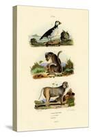 Bonnet Macaque, 1833-39-null-Stretched Canvas