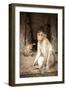 Bonnet Macaque (Macaca Radiata) Adults and Baby in Temple, Hampi, Karnataka, India, July-Paul Williams-Framed Photographic Print