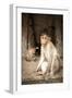 Bonnet Macaque (Macaca Radiata) Adults and Baby in Temple, Hampi, Karnataka, India, July-Paul Williams-Framed Photographic Print