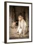 Bonnet Macaque (Macaca Radiata) Adults and Baby in Temple, Hampi, Karnataka, India, July-Paul Williams-Framed Photographic Print