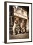 Bonnet Macaque (Macaca Radiata) Females Suckling Babies in Temple, Hampi, Karnataka, India, July-Paul Williams-Framed Photographic Print