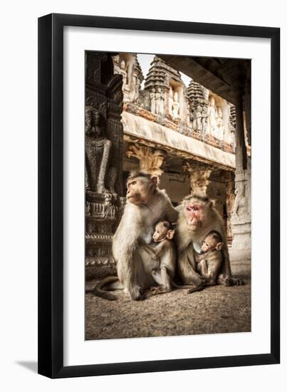 Bonnet Macaque (Macaca Radiata) Females Suckling Babies in Temple, Hampi, Karnataka, India, July-Paul Williams-Framed Photographic Print