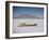 Bonneville Hot Rod Meet at the Bonneville Salt Flats in Utah-J^ R^ Eyerman-Framed Photographic Print