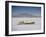 Bonneville Hot Rod Meet at the Bonneville Salt Flats in Utah-J^ R^ Eyerman-Framed Photographic Print