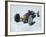 Bonneville Hot Rod Meet at the Bonneville Salt Flats in Utah-J^ R^ Eyerman-Framed Photographic Print