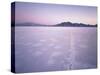 Bonneville Salt Flats at Sunrise, Silver Island Mountains & Pilot Peak, Utah, USA-Scott T. Smith-Stretched Canvas