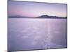 Bonneville Salt Flats at Sunrise, Silver Island Mountains & Pilot Peak, Utah, USA-Scott T. Smith-Mounted Photographic Print