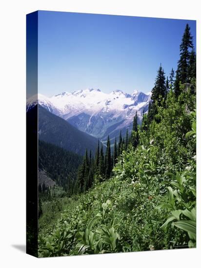 Bonney Range, Glacier National Park, Rocky Mountains, British Columbia, Canada-Geoff Renner-Stretched Canvas