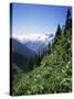 Bonney Range, Glacier National Park, Rocky Mountains, British Columbia, Canada-Geoff Renner-Stretched Canvas