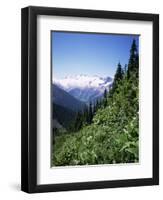 Bonney Range, Glacier National Park, Rocky Mountains, British Columbia, Canada-Geoff Renner-Framed Photographic Print