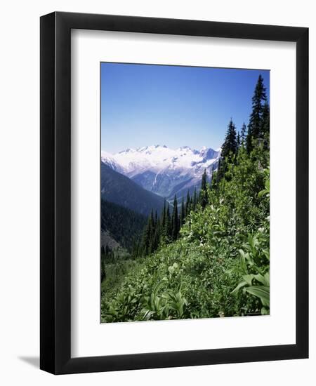 Bonney Range, Glacier National Park, Rocky Mountains, British Columbia, Canada-Geoff Renner-Framed Photographic Print