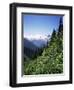 Bonney Range, Glacier National Park, Rocky Mountains, British Columbia, Canada-Geoff Renner-Framed Photographic Print