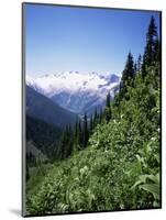 Bonney Range, Glacier National Park, Rocky Mountains, British Columbia, Canada-Geoff Renner-Mounted Photographic Print