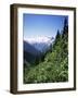 Bonney Range, Glacier National Park, Rocky Mountains, British Columbia, Canada-Geoff Renner-Framed Photographic Print