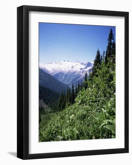 Bonney Range, Glacier National Park, Rocky Mountains, British Columbia, Canada-Geoff Renner-Framed Photographic Print