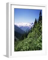 Bonney Range, Glacier National Park, Rocky Mountains, British Columbia, Canada-Geoff Renner-Framed Photographic Print