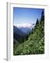 Bonney Range, Glacier National Park, Rocky Mountains, British Columbia, Canada-Geoff Renner-Framed Photographic Print