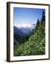 Bonney Range, Glacier National Park, Rocky Mountains, British Columbia, Canada-Geoff Renner-Framed Photographic Print