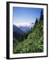 Bonney Range, Glacier National Park, Rocky Mountains, British Columbia, Canada-Geoff Renner-Framed Photographic Print